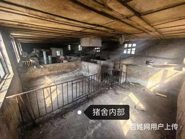 猪舍/养猪场/养殖场/出售 - 图片 7
