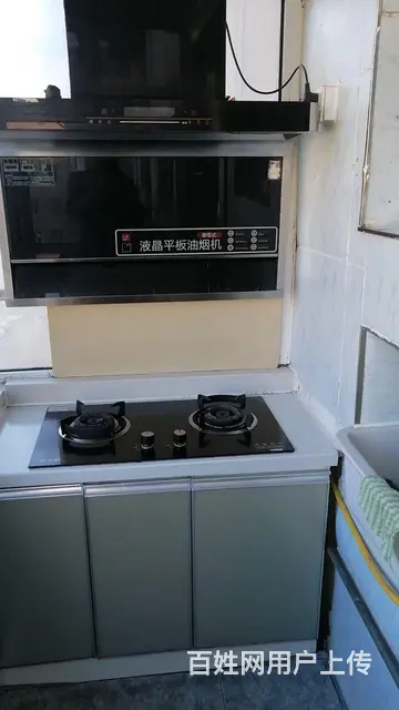 步行街中段丰乐小区压一付一 - 图片 3
