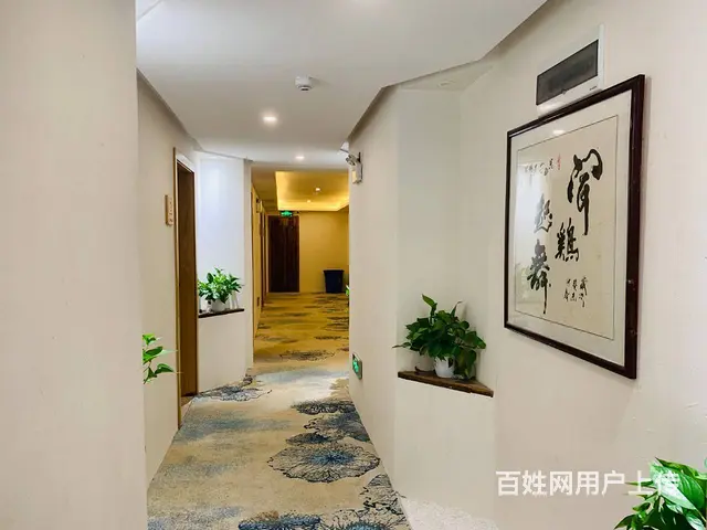（老板本人）低价处理，独栋高桥成熟商圈临街精装酒店民宿转让 - 图片 8