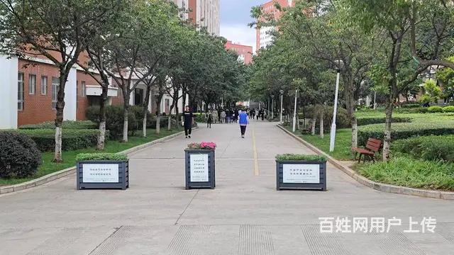 （51旺铺推荐）安宁云南经济管理学院16平档口招商 - 图片 4