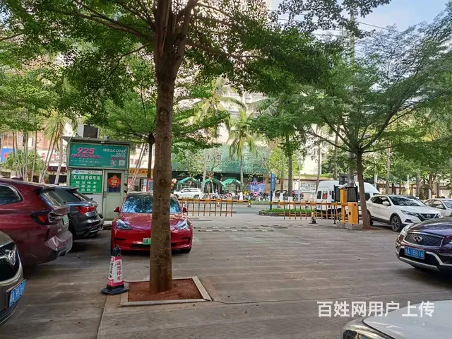 （51旺铺推荐）龙华路106平临街旺铺房东直租 - 图片 10