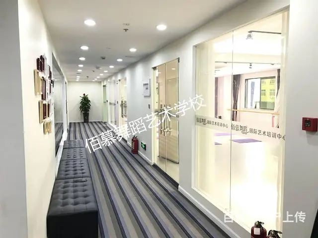 遂昌初中毕业可以学舞蹈吗 - 图片 8