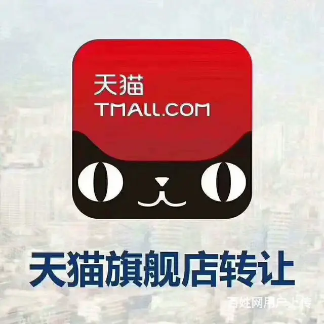 专业策划，代写天猫计划 - 图片 2