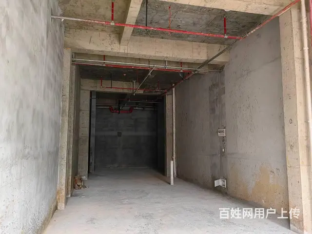 （51旺铺推荐）坡博路119平旺铺出租 - 图片 4
