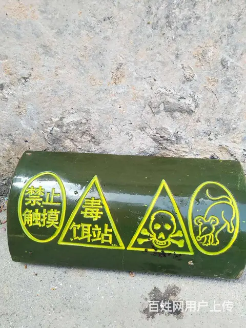 双峰专业灭白蚁灭蟑螂灭老鼠 - 图片 4