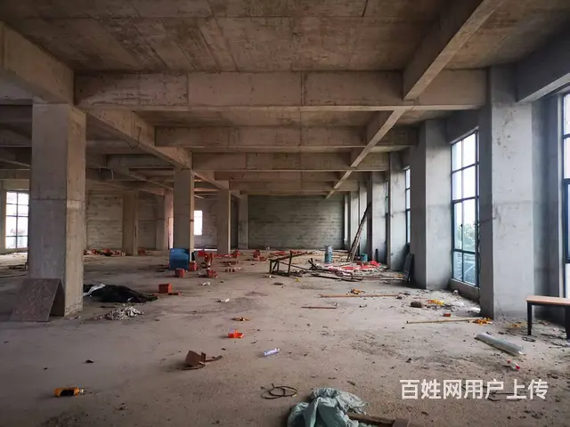 （51旺铺推荐）乐东佛罗整栋3840平出租（房东直租） - 图片 12