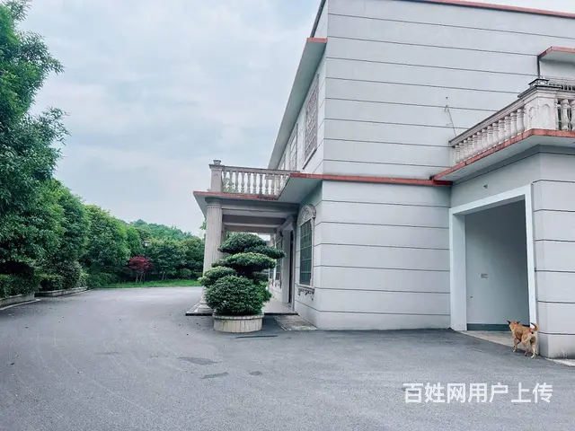 （老板本人）长沙县安沙镇独门独院别墅房东直租  6327 - 图片 1