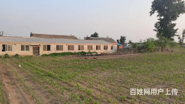 出租出售农村大院 - 图片 5