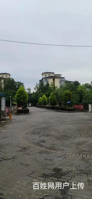 温江寿安银城花树间 - 图片 4