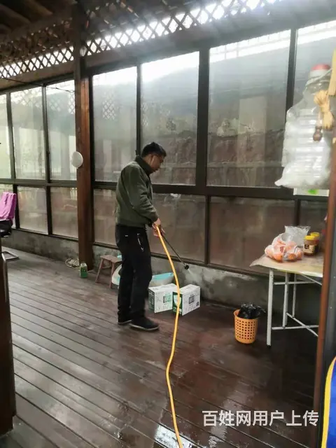 营山酒楼灭白蚁价格 营山白蚁防治除四害电话 - 图片 4