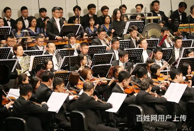 全球国际音乐家协会是正规的吗 - 图片