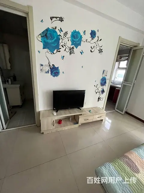 地铁房爱丽香舍(铁西) 普通住宅1厅 精装修 - 图片 1