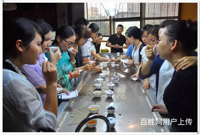 2024年11月茶艺培训师培训班的招生简章 - 图片 12