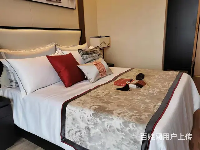 滁州政务新区 徽派建筑 清风明月高端洋房媲美时光风华 - 图片 9