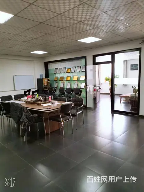 丰满区深圳街主街445平商铺门市出兑出租出售，可分租 - 图片 5