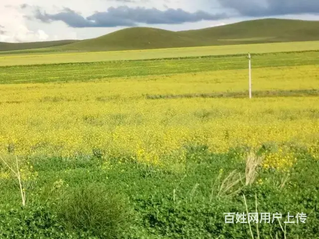 呼伦贝尔海拉尔呼伦贝尔旅行社价格合理 - 图片 2