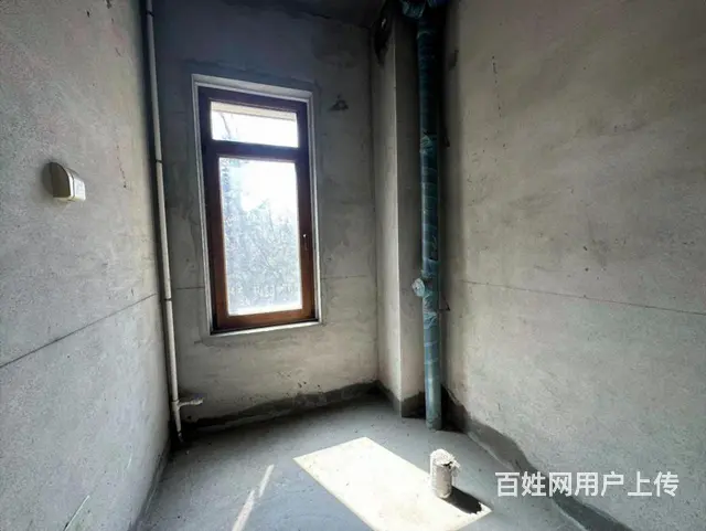 翠湖边户别墅 中间位 超大花园 双车库 室内电梯 没税 - 图片 7