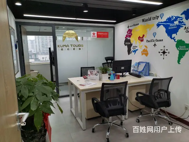 一对一专业会计代理记账 实际地址挂靠 免费代办执照 - 图片 3