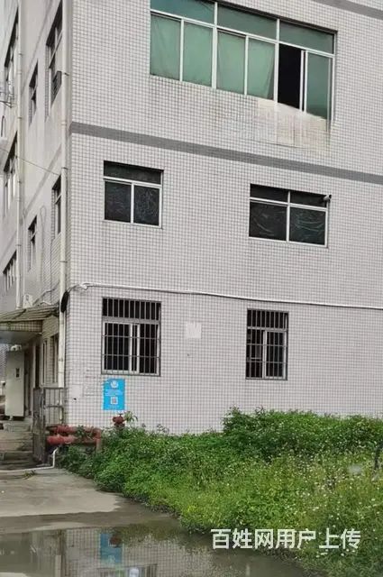 低价出售唐家高新区工业厂房23亩 - 图片 7