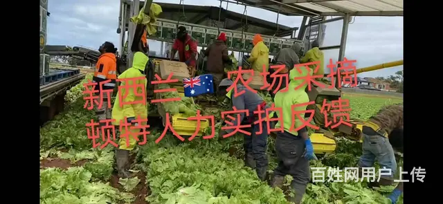 常州出国务工，正规工签项目，高薪诚招普工技工. - 图片 9