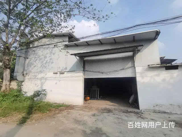 天元镇天鹅路400平厂库房出租 - 图片 3
