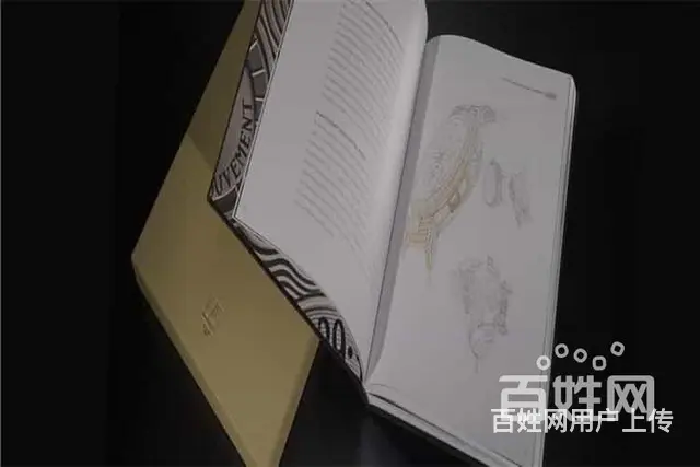 北京欧米茄专柜故障腕表可换新吗 - 图片 3
