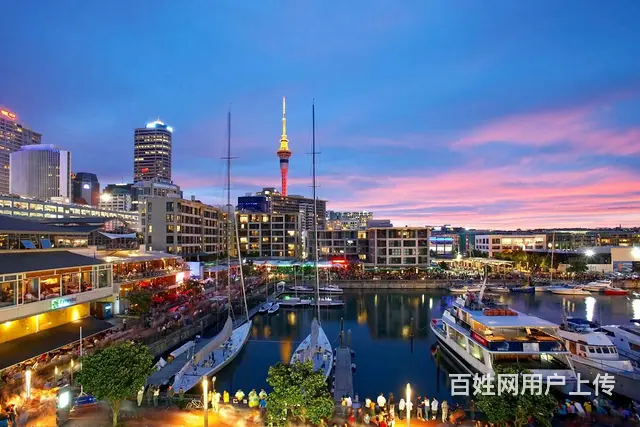 爱尔兰超市年薪45万包吃包住合法出国正规工作签证 - 图片