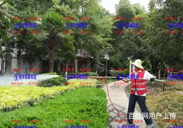 厦门物业小区绿化养护 - 图片 1