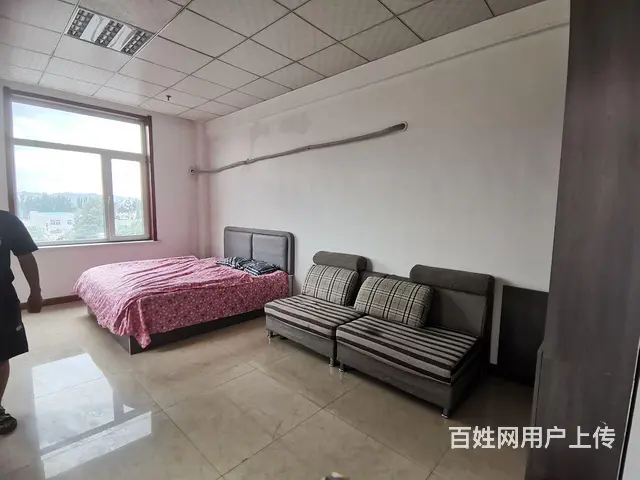 王府花园附近公寓30平，月租600家电齐全， - 图片 1
