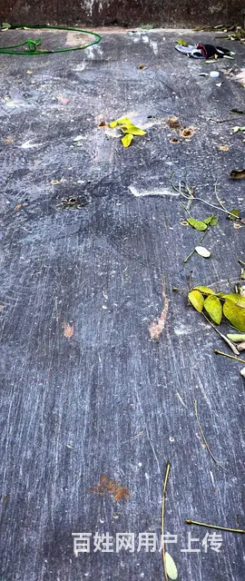 【搞定了！】时风 时风风菱 自卸车 国5 - 图片 4