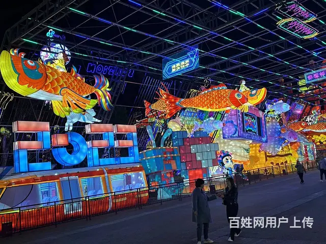 彩灯花灯灯会彩灯制作花灯制作 - 图片 2
