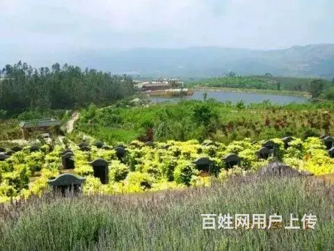 昆明青龙园墓地首付一半既可购买 - 图片 4