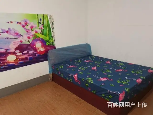 精品配套单间和1室1厅出租 - 图片 12