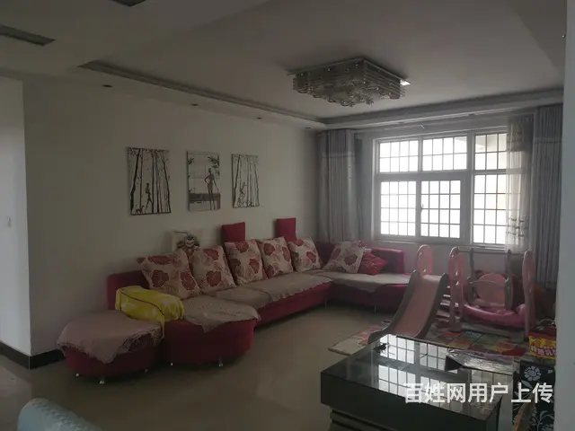 五证齐全 - 图片 4