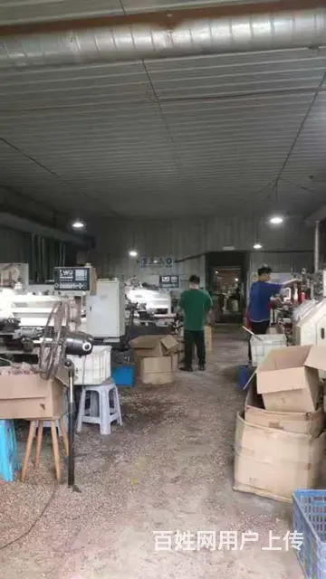德清县新安镇（勾里），裕华路183号 - 图片 8