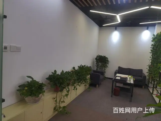云狐科技园，滨江直播基地，精装出租30至600方，多套可选！ - 图片 10