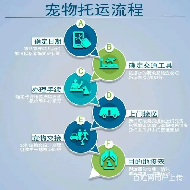 嘉兴海盐周边宠物托运（猫狗活体快递）陆运 空运至全国 - 图片 2