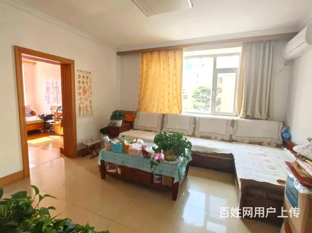 新手一手皇冠，全明 边户，客厅带大窗 3室 带储 金海湾花园 - 图片 1