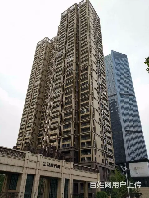 岳家嘴  正堂时代 中治南方 德成国贸 徐东 金禾 - 图片 11