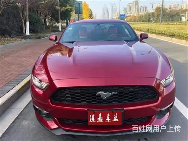 福特Mustang [野马] 2016款 2.3T 手自一体 - 图片 11