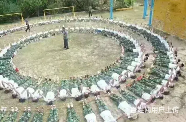 揭阳飞盘 大富翁 棒球 橄榄球 真人剧本杀各类团建 - 图片 4