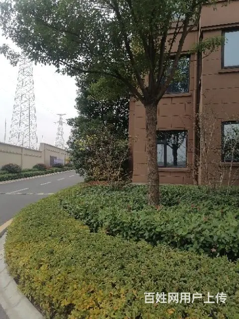 富春山居 - 图片 1