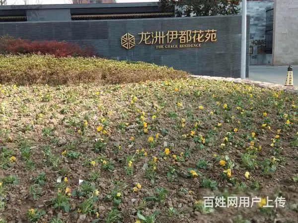 高层全天有采光三开间朝南龙洲伊都2室2厅经典户型 - 图片 3