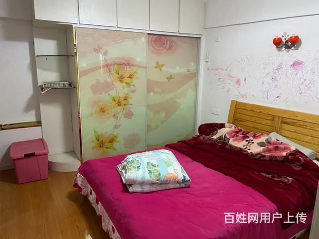 湖塘镇高力汽博城精装复式公寓35万 - 图片 5