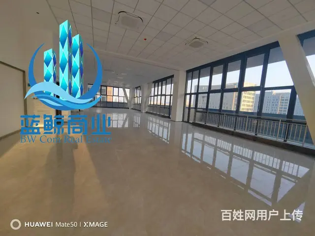 金开区软件园1000平整层办公楼出租 - 图片 5