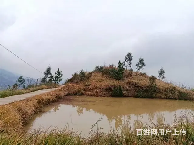 【同城搜铺网】铁山隧洞出口30亩土地便宜出租（带鱼塘） - 图片 4
