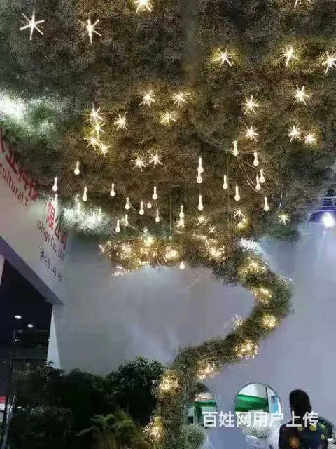昆明斗南花卉批发市场美旗花卉基地直发满天星康乃馨 - 图片 3