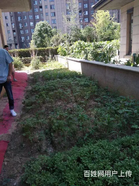 恐龙园板块长兴秀江南别墅群 沿河边别墅证满二 好看 - 图片 5