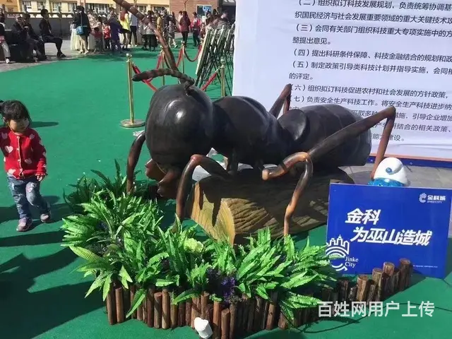 绍兴趣味昆虫展出租 昆虫展厂家 - 图片 3