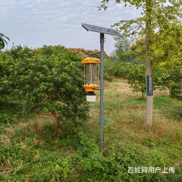 太阳能频振式杀虫灯 电击式杀虫灯 养殖鱼塘农田专用 - 图片 5
